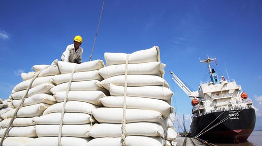 Giá gạo Việt Nam xuất khẩu lập kỷ lục mới