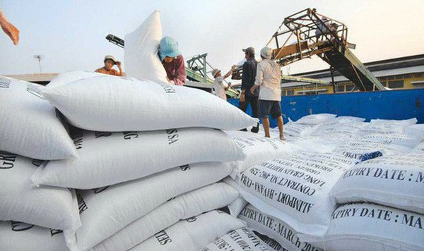 Gạo xuất khẩu vẫn chưa được gắn logo 'Vietnam rice'