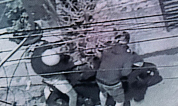 Video cây mai 50 triệu đồng nhà Thành Đạt bị trộm mang đi