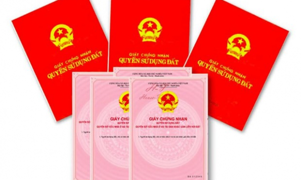 Tham mưu cấp sai 4 ‘sổ đỏ’, 4 cán bộ ở TP Tuy Hòa bị khởi tố