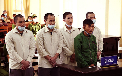 Lâm Đồng: Hơn 44 năm tù cho 5 bị cáo chuyên trộm lan đột biến
