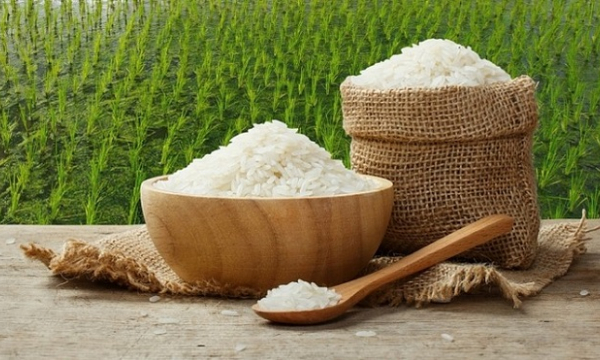 Giá lúa gạo ngày 10/6: Giá gạo xuất khẩu quay đầu giảm nhẹ