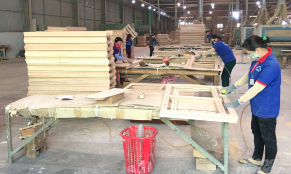 Địa phương cứng nhắc, sản xuất gỗ đình trệ