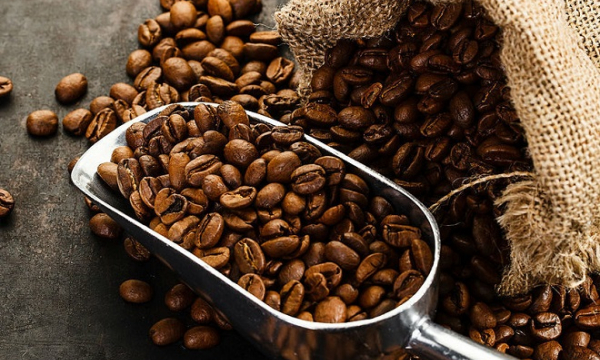 Giá cà phê ngày 3/10: Thị trường trong nước tăng mạnh