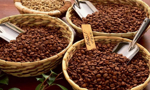 Giá cà phê hôm nay 4/10: Tăng thêm 600 đồng/kg