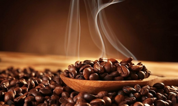 Giá cà phê hôm nay 11/10: Cà phê trong nước tiếp tục đi ngang
