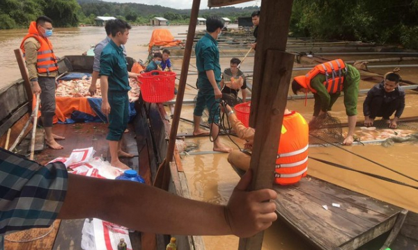 Mưa lớn gây thiệt hại hơn 700 tấn cá nuôi trên sông Đồng Nai