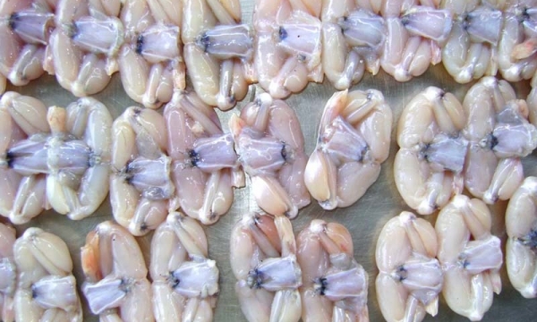 EU cảnh báo đùi ếch, bưởi Việt Nam vi phạm an toàn thực phẩm