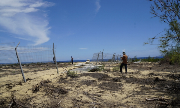 Bình Định: Hơn 5ha rừng phòng hộ ven biển bị lấn chiếm