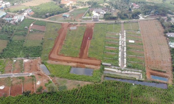 Loạn phân lô bán nền, UBND tỉnh Lâm Đồng yêu cầu báo cáo chi tiết từng thửa đất