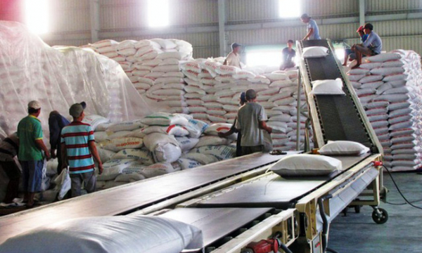Giá gạo xuất khẩu của Việt Nam ổn định khi giá gạo thế giới biến động