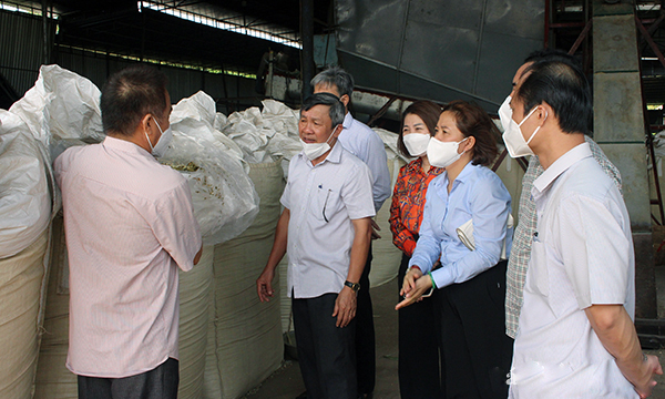 Đồng Nai: Tăng cường liên kết trong sản xuất nông nghiệp