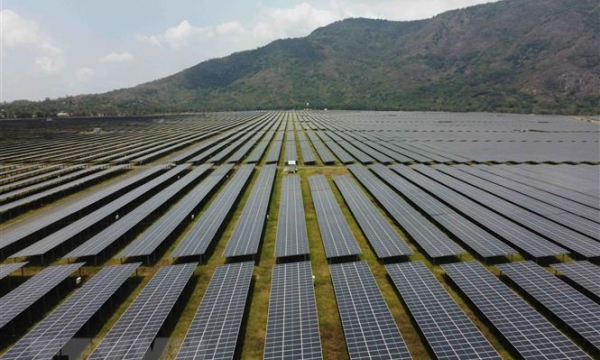 Phạt 3 nhà máy điện mặt trời ở Phù Mỹ, Bình Định
