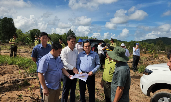 Kiên Giang ra quân xử lý vi phạm về đất đai, lâm nghiệp và xây dựng tại Phú Quốc