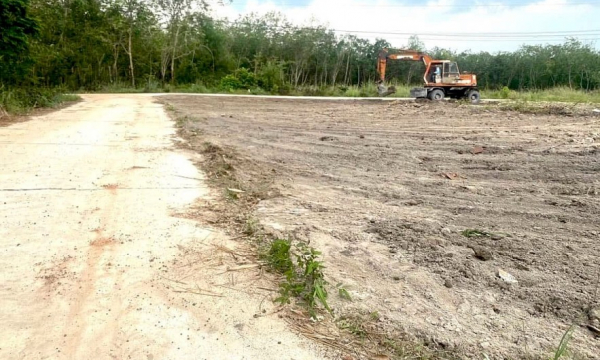 Bình Phước: Nhiều sai phạm trong quản lý và sử dụng đất tại huyện Đồng Phú