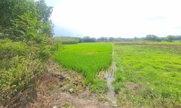 Thiện Tân (Vĩnh Cửu, Đồng Nai): “Vẽ quy hoạch đường” chỉ để phục vụ phân lô đất nông nghiệp?