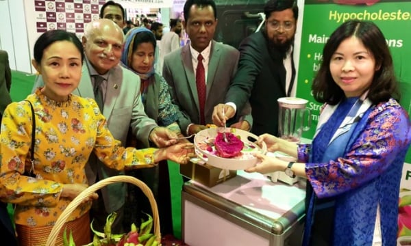 Thanh long Việt Nam nổi bật tại hội chợ quốc tế ở Pakistan
