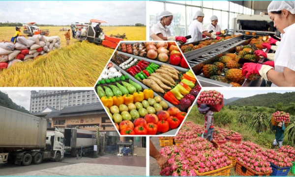 Xuất khẩu nông sản 4 tháng đầu năm giảm 13,3%