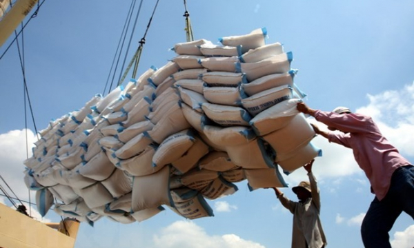 Xuất khẩu gạo tăng cao nhất nhóm nông sản chủ lực