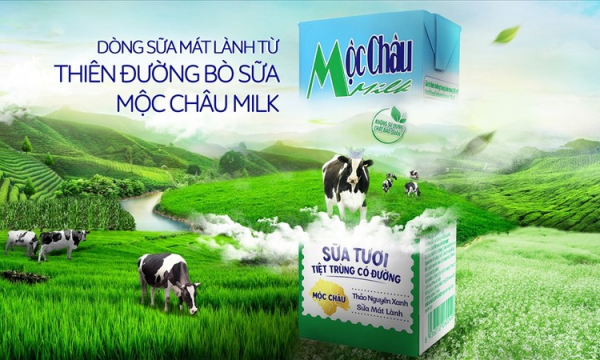 Mộc Châu Milk: Doanh thu sụt giảm, lợi nhuận chạm đáy