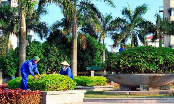 Công ty TNHH Cây xanh Công Minh có tỷ lệ trúng thầu cao đến 'bất thường'