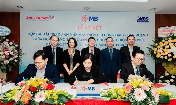 Nhiều lỗi vi phạm, Năng lượng Bắc Phương bị phạt 77 triệu đồng