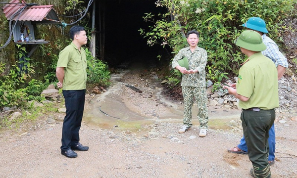 Vì sao Công ty Nhẫn bị trả hồ sơ khai thác vàng?
