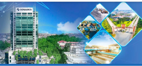 Đồng Nai xác minh tài sản, thu nhập: Lãnh đạo Sonadezi nhận lương và thù lao tiền tỷ