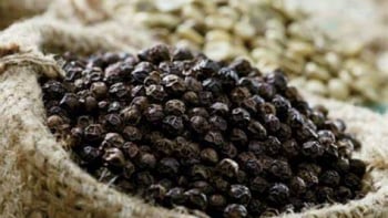 Hồ tiêu - Xuất khẩu tăng mạnh về giá trị, dù sản lượng giảm