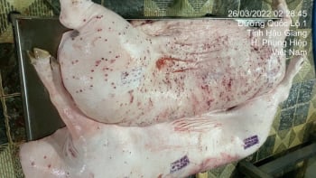 C.P. Việt Nam bác bỏ cáo buộc bán thịt heo, gà bệnh ra thị trường bị nhân viên cũ bị tố bán thịt heo, gà bệnh ra thị trường