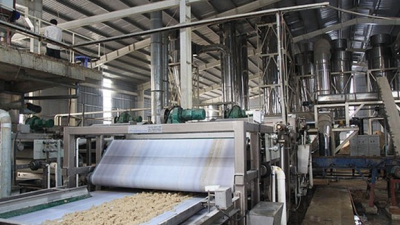 VietinBank rao bán nhà máy sản xuất bột gạo của Công ty TNHH MTV Bột mì Đại Nam