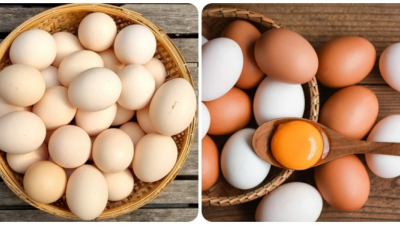Trứng gà là thực phẩm bổ dưỡng được nhiều người yêu thích, vậy mỗi ngày ăn một quả trứng gà có tốt không?