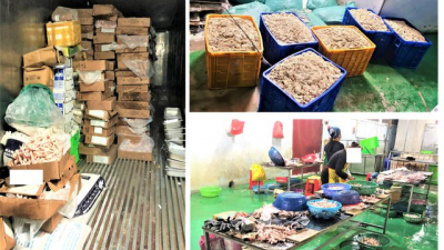 Hơn 9 tấn thực phẩm 
