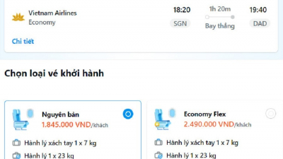 Giá vé máy bay từ các thành phố lớn như Hà Nội, Thành phố Hồ Chí Minh đến các điểm du lịch dịp 2/9 cao gấp rưỡi, thậm chí gấp 2 lần ngày thường