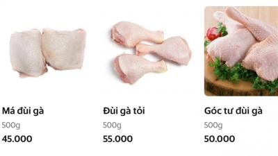Giá gà rớt thảm không mua nổi quả bí đỏ, trong khi giá siêu thị cao gấp 15 lần tại chuồng