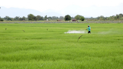 Giá vật tư nông nghiệp tăng cao, nông dân Đồng Nai gặp khó