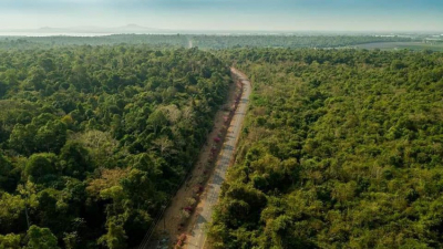 Đồng Nai có gần 200 ngàn ha rừng