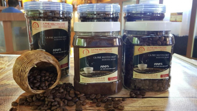Cà phê Đắk Lắk đã hiện diện ở hơn 70 thị trường trên toàn cầu: Gợi ý địa chỉ cung cấp cà phê nguyên chất uy tín tại TP HCM