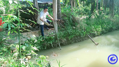 Độc lạ Tiền Giang: Nuôi sâu canxi làm thức ăn cho cá, nông dân khá lên