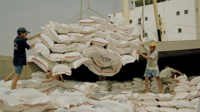 Cục Hải quan TP HCM phát hiện 3 lô gạo tại cảng Cát Lái có dấu hiệu gian lận xuất xứ gạo Việt