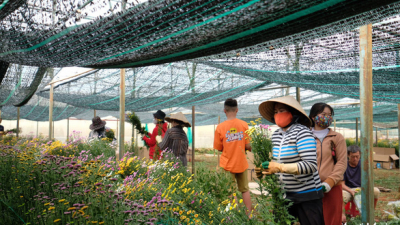 TP.HCM mở cửa chợ Đầm Sen trong 3 ngày giúp nông dân Lâm Đồng, giải phóng ùn ứ vựa hoa Đà Lạt