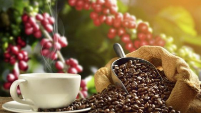 Thị trường cà phê 16/5: Robusta lao dốc, Arabica bật tăng nhẹ