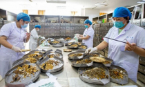 Quy định về đăng ký lưu hành thuốc cổ truyền, dược liệu