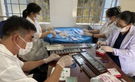 Đắk Lắk: Điều tra dịch tễ các bệnh giun sán tại xã Ea Phê, huyện Krông Pắc