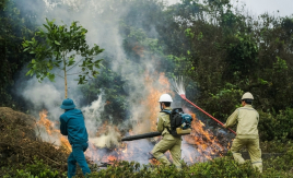 Kon Tum: Quyết liệt triển khai các giải pháp phòng cháy chữa cháy rừng