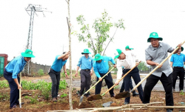 Đắk Lắk: Trồng cây xanh kỷ niệm 134 năm Ngày sinh Chủ tịch Hồ Chí Minh