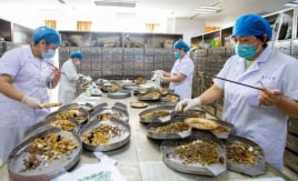 Quy định về đăng ký lưu hành thuốc cổ truyền, dược liệu
