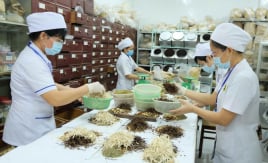 Hướng dẫn thanh toán BHYT đối với thuốc y học cổ truyền
