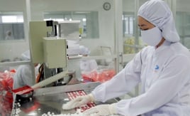 Bộ Y tế quy định mới nhất trình tự đánh giá thực hành tốt sản xuất thuốc, nguyên liệu làm thuốc
