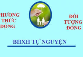 BHXH tự nguyện sinh giúp người lao động tự do có lương hưu khi về già